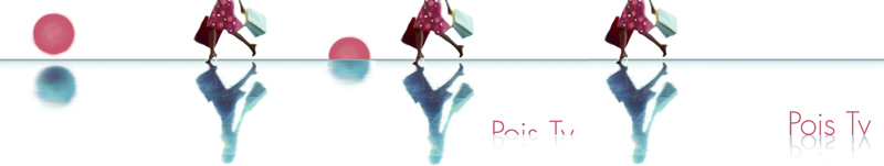 concept studiati per Pois TV - storyboard